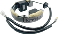 Stator for Husqvarna/KTM (21-0093)