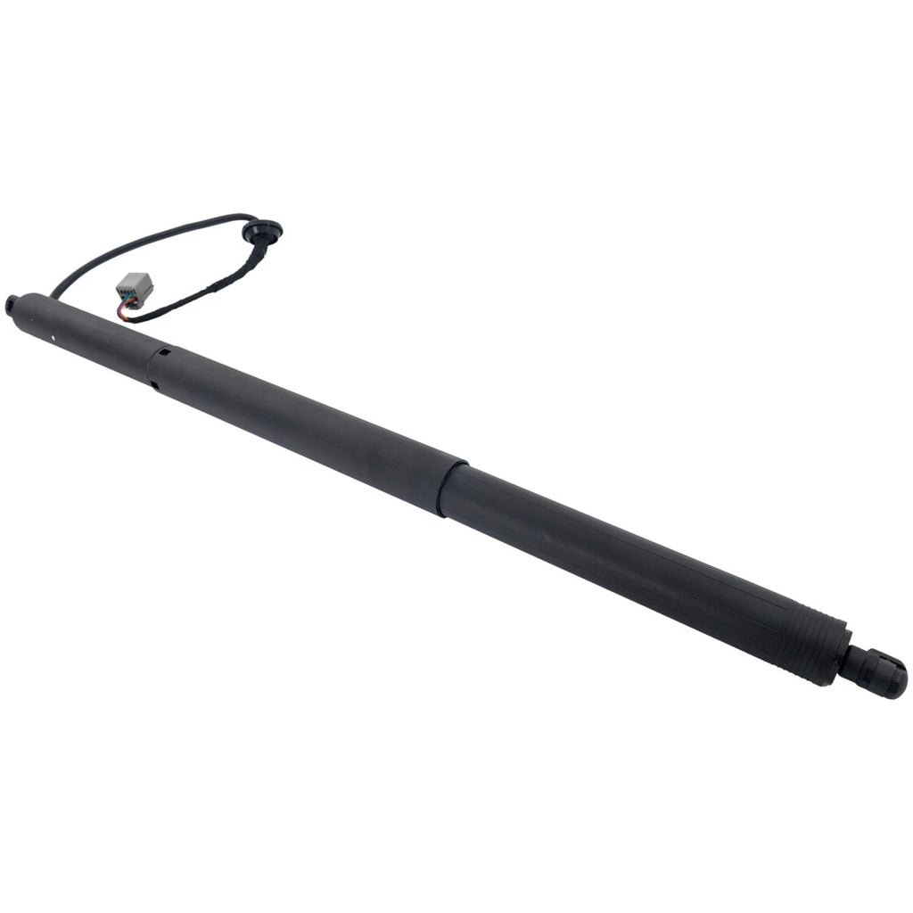 Liftgate Lift Supports for Tesla S (2012–2020)