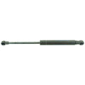 Set of 2 Trunk Lid Lift Supports for Coupe Sedan