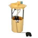 Fuel Pump Assembly for Chrysler Town & Country, Dodge Grand Caravan (2008–2010)