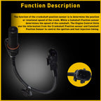 Crankshaft Position Sensor for Hyundai Accent Elantra (2011–2015)