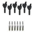 Set of 6 Ignition Coils & NGK Iridium Spark Plugs for Trailblazer (2002–2009)