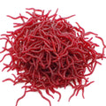 Set of 10 Soft Plastic Red Worm Lures 3.5" for Bass Fishing