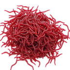 Set of 10 Soft Plastic Red Worm Lures 3.5" for Bass Fishing