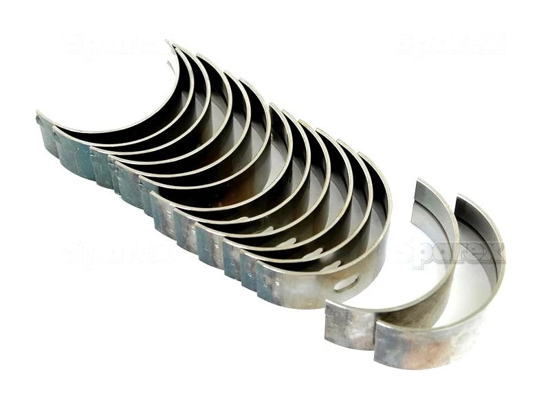 Main Bearing Set for Massey Ferguson 3630 3645 3650 3655