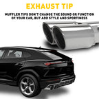 Chrome Dual Exhaust Pipe Tail Muffler Tip for Car