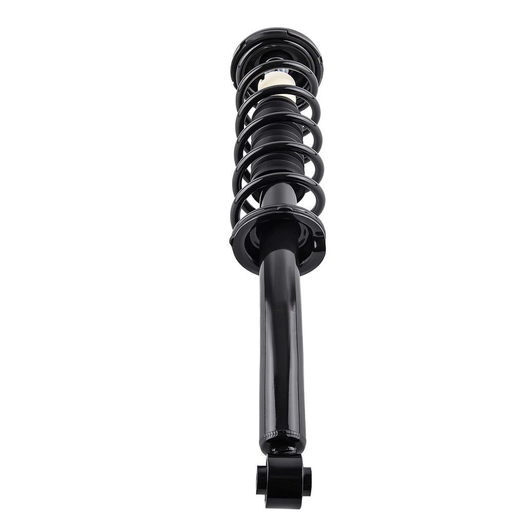 Pair Rear Struts w/Coil Spring Assembly for Acura TSX (2004–2008)
