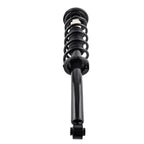 Pair Rear Struts w/Coil Spring Assembly for Acura TSX (2004–2008)