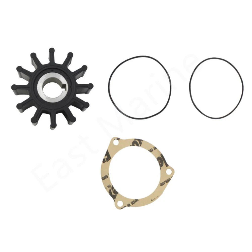 Minor Repair Kit for Sherwood Pump G903, G908, G11 (09000K)