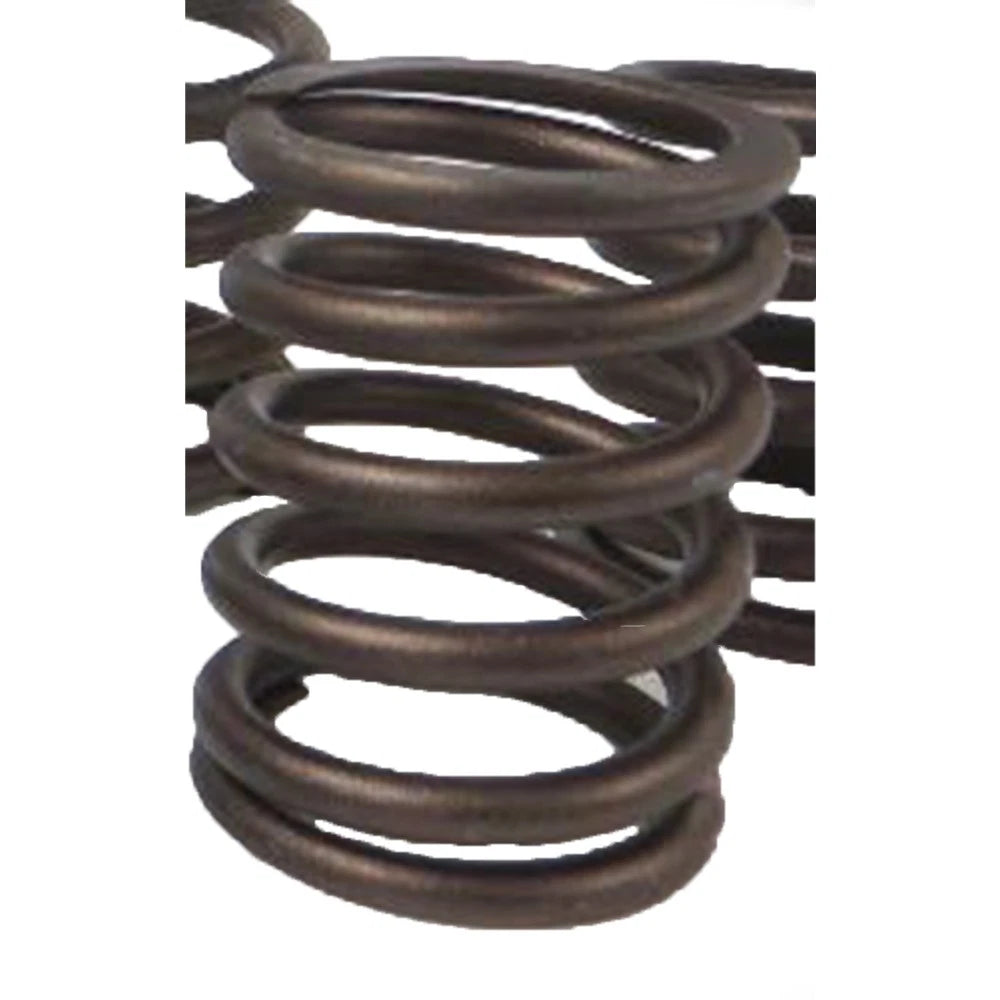 Inner Valve Spring for Caterpillar Industrial Construction (2418386)