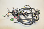 Main Wire Harness for Yamaha FZR FZS (2011–2012) 6AN-8259L-10-00