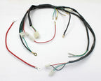 Wiring Loom for Atomik Motoworks Thumpstar 70/110/125/150cc Dirt Pit