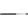 Lift Support for Ford Excursion (2000–2005)