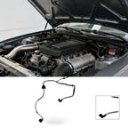 Carbon Canister Solenoid Valve for Ford Focus (2019)