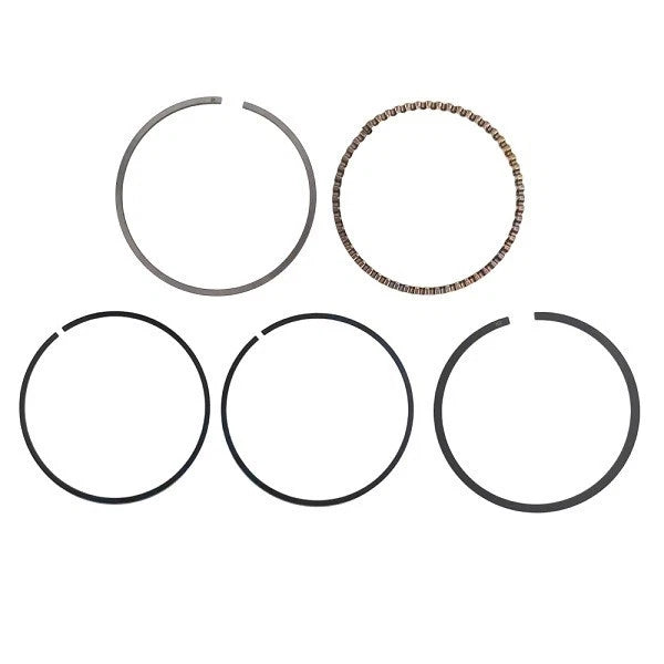 Piston Ring STD for Mercury-Tohatsu 8HP-9.8HP (Replaces 8M0080346)