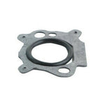 Carburetor for Efficient Lawn Care Models (497586)