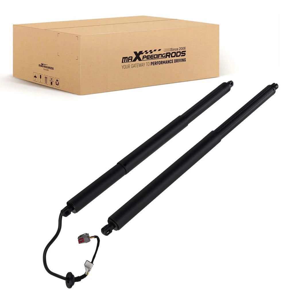 Hatch Lift Support for Tesla Model S (2012–2020) 6006610-00-A