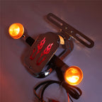 Metal Flame Fire Rear Brake Tail Light Turn Signal for Harley
