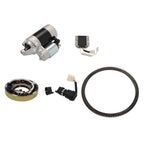 Starter Motor for Diesel Engine 186F 186FA (Year Range Not Specified)