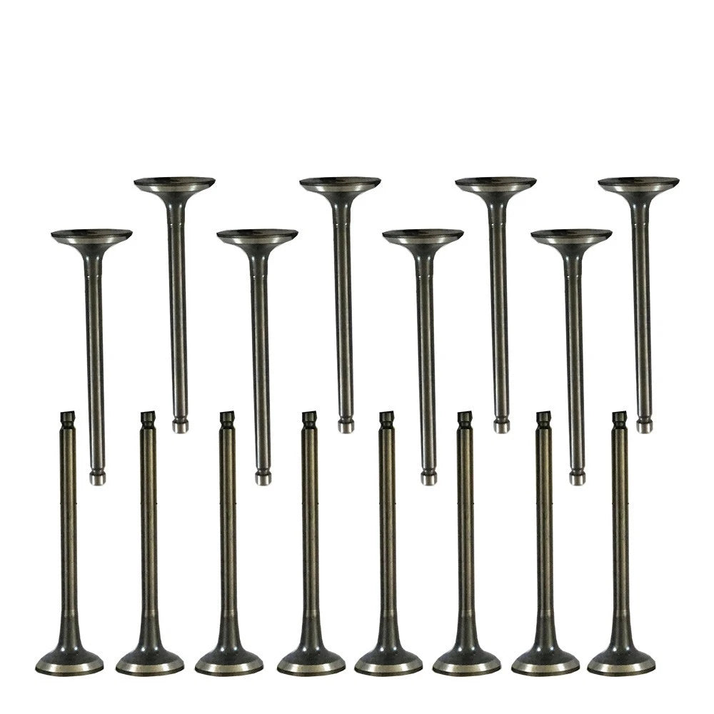 Exhaust & Intake Valves for Hyundai Accent/Kia Rio (2001-2011)