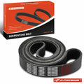 Heavy Duty Serpentine Belt for Ford F-650 F-750 (2000–2023)