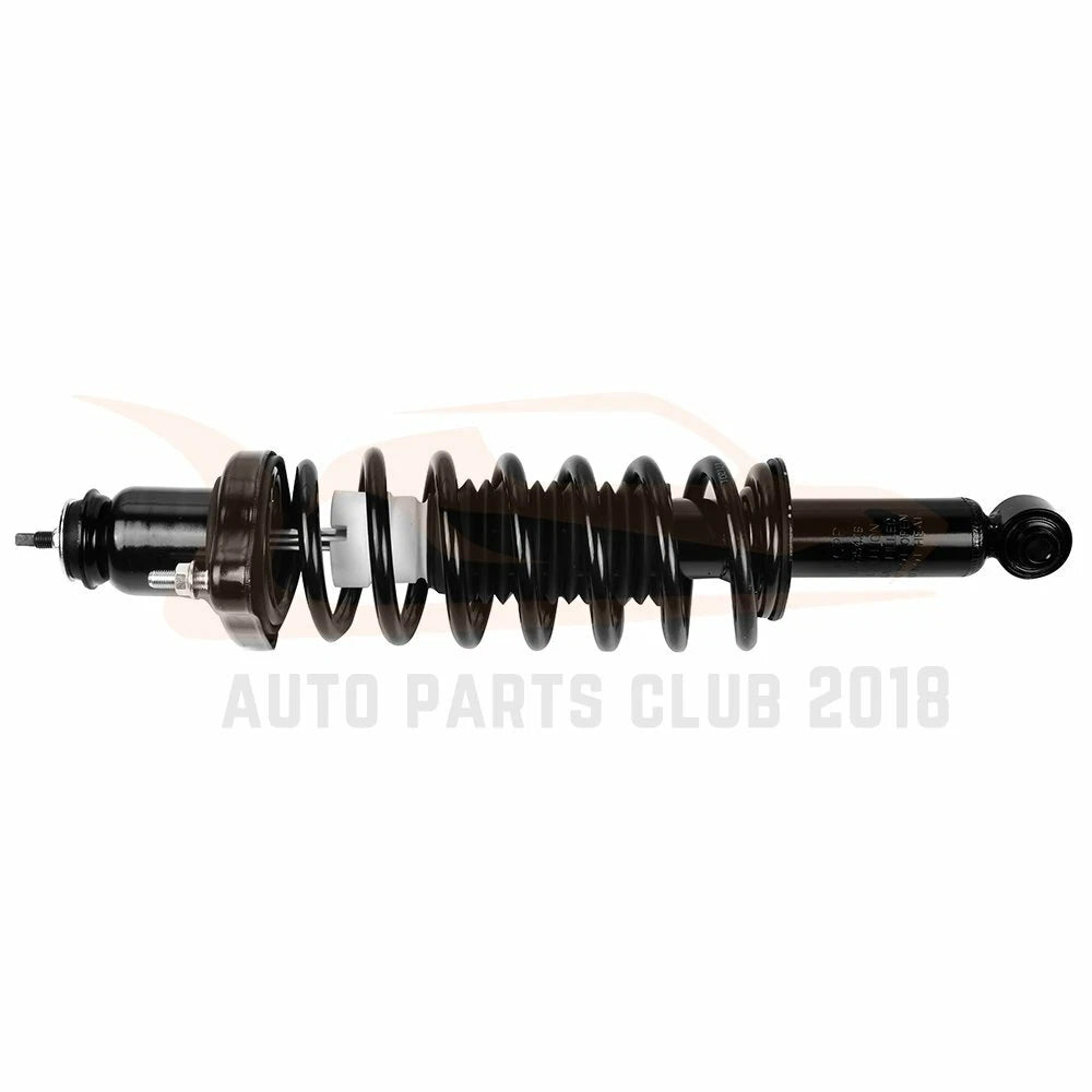 Rear Complete Strut Assembly for Jeep Patriot (2007-2009)