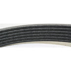 Drive Belt for Chevy Pickup, Mercedes J Series, C Class, 4 Runner, Ford Ranger