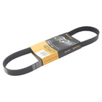 Continental Reinforced Multi-V Serpentine Belt for 4070407F