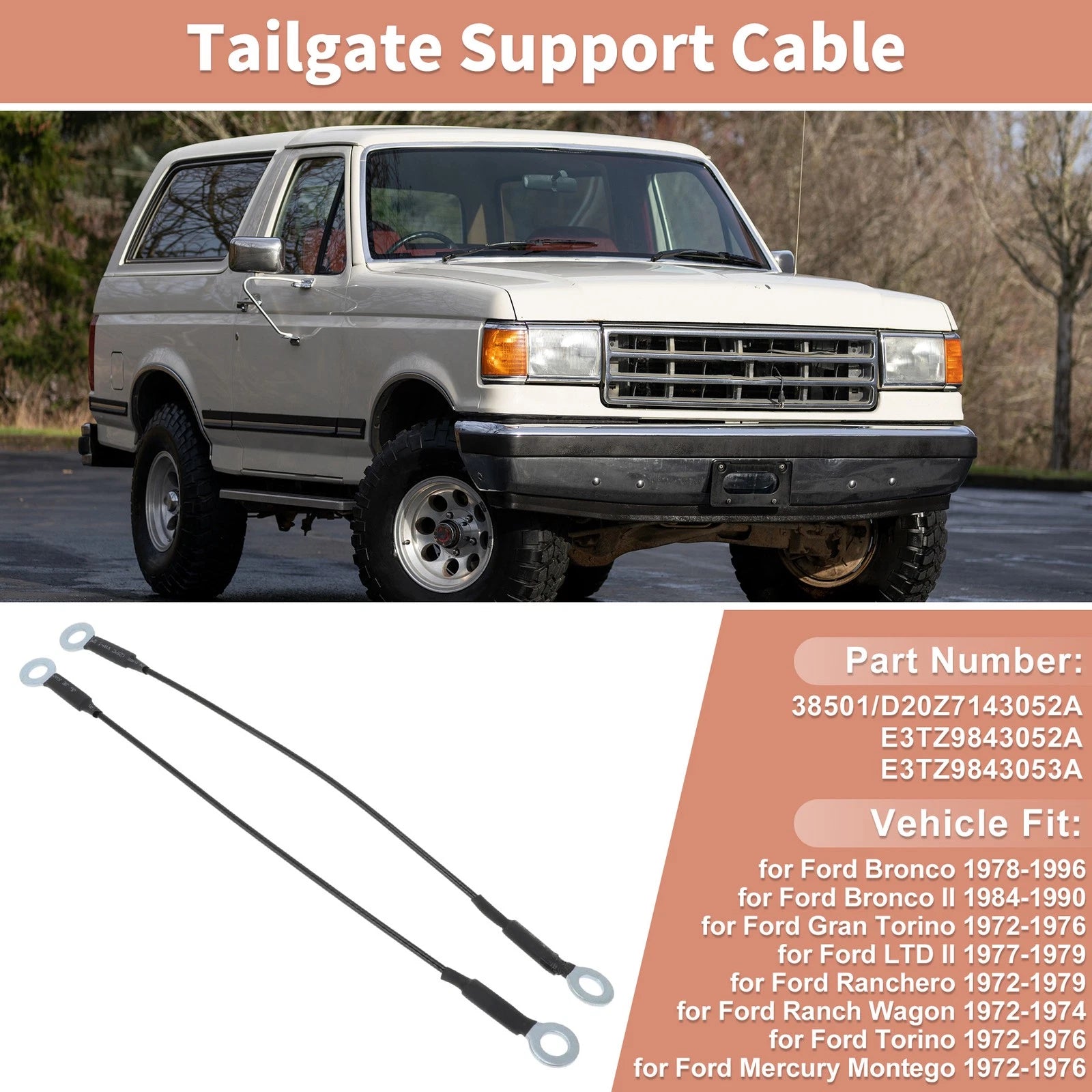 Tailgate Support Cable for Ford Bronco, Gran, Ranchero (No.38501)