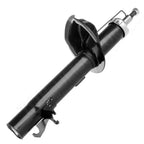 Front Strut & Gas Shocks for Ford Focus (2000–2005)