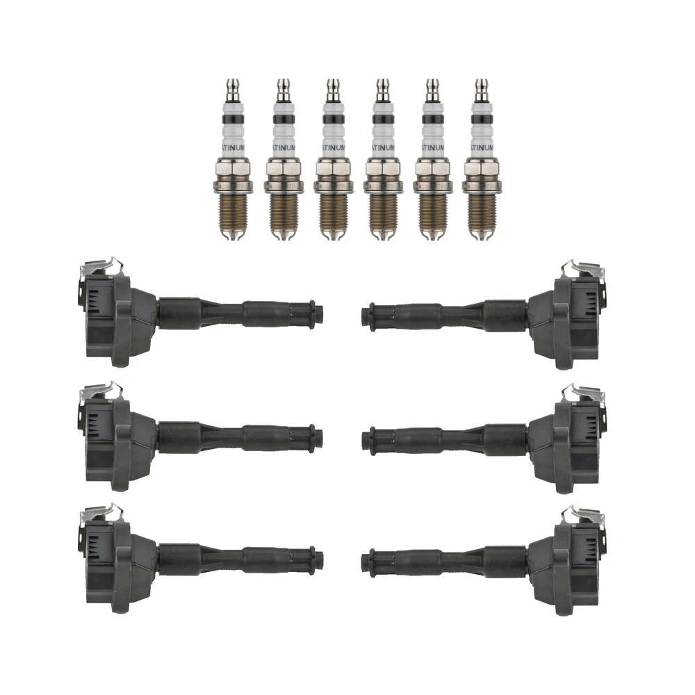 Set of 6 Ignition Coils & 6 Spark Plugs for BMW E36 E39 E46 E53 (1992–2006)
