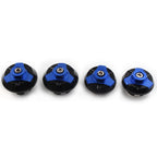 Frame Hole Cap Cover Plug Set of 2 for Kawasaki Ninja 250 250R ZX250 ZX300R Blue