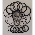 Hydraulic Cylinder Seal Kit for John Deere (1401-1391)