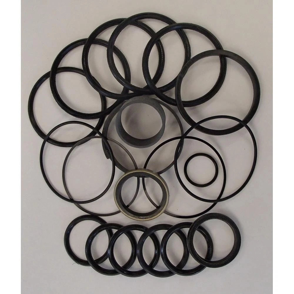 Hydraulic Cylinder Seal Kit for John Deere (1401-1391)