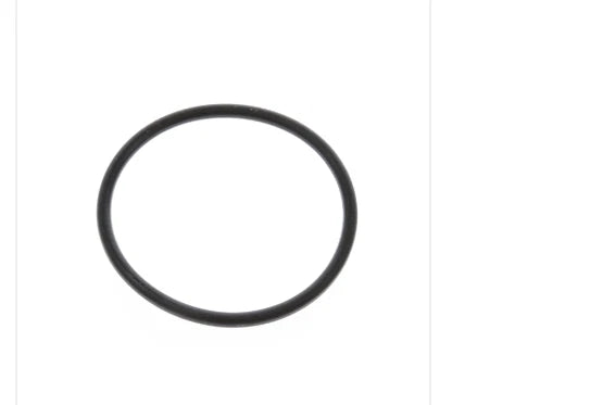 WSM O-Ring for