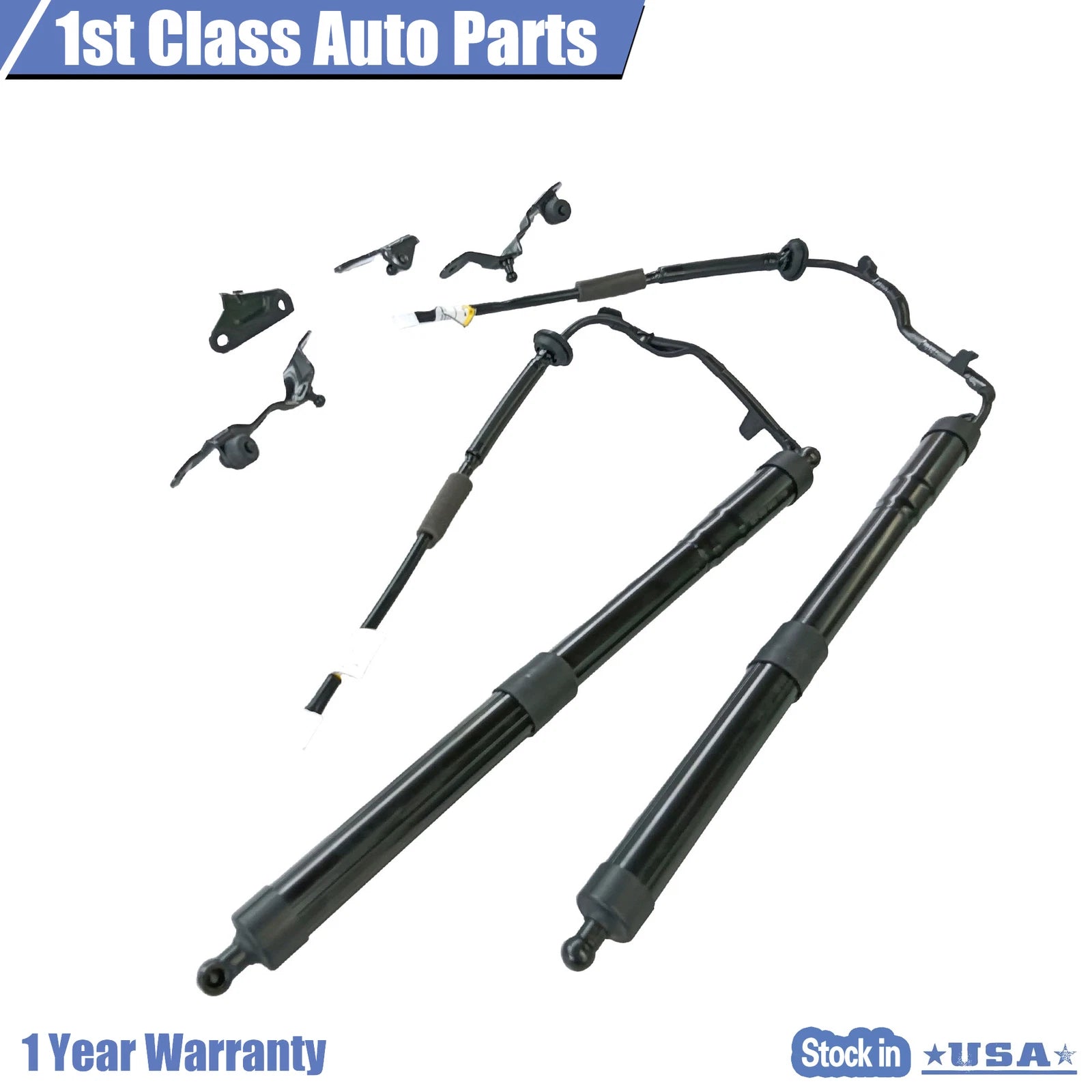 2X Rear Tailgate Lift Support Strut for Toyota RAV4 (2013-2016)