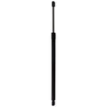 Tailgate Lift Support for Lexus NX250 (2022–2023)