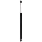 Tailgate Lift Support for Lexus NX250 (2022–2023)