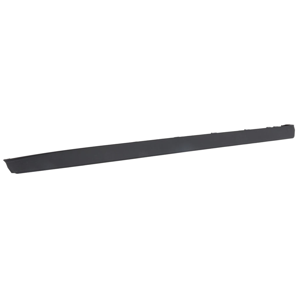 Door Moldings for Front Driver Left Side Lower (2015–2020)