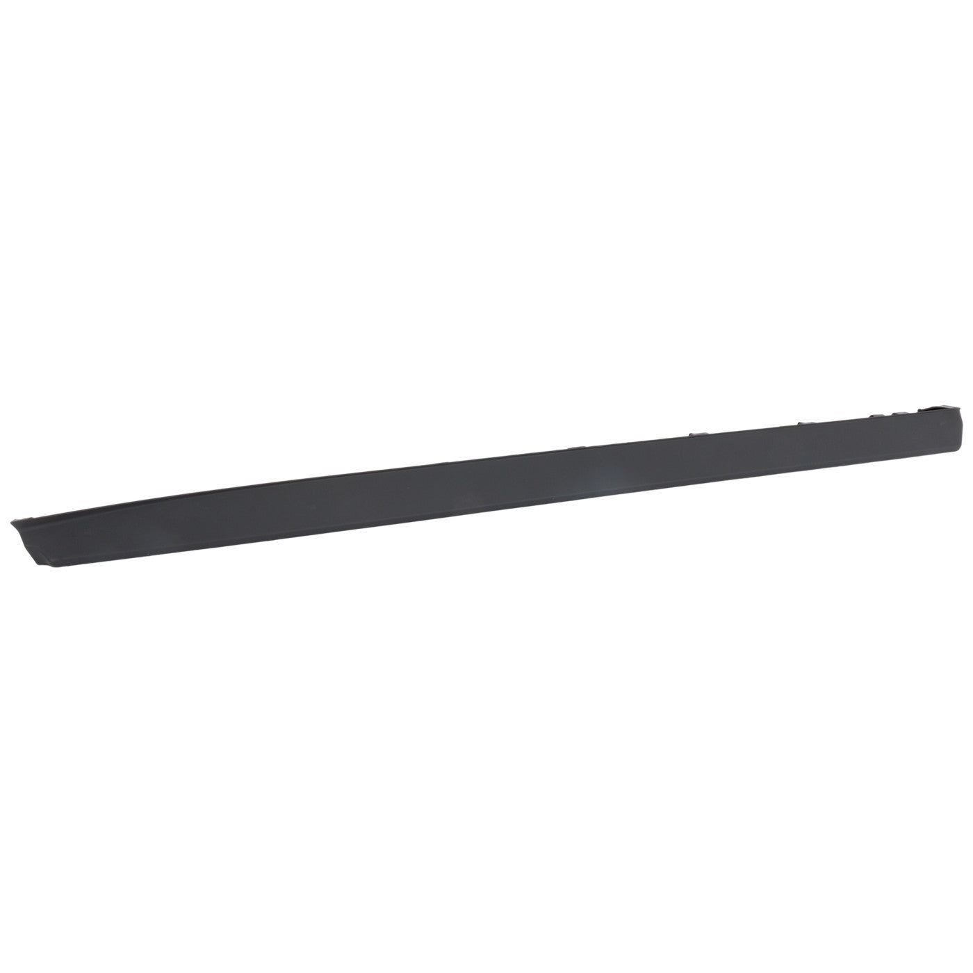 Door Moldings for Front Driver Left Side Lower (2015–2020)