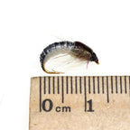 Insect Bait Lure Nymph Scud Set of 4 (8#/10#/12#/14#)