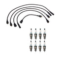 Denso Wire Set & 8 Iridium TT Spark Plugs for 5.2L 5.9L V8
