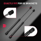 17 Inch Gas Shocks Struts for Rear Window Pickup (2017–2020)