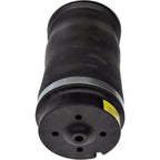 Air Spring Shock and Strut for Mercedes-Benz (Rear Driver or Passenger Side)