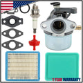 Carburetor Kit for Briggs & Stratton 126T02 124L05 124L07 124T02 725AWD (N/A)