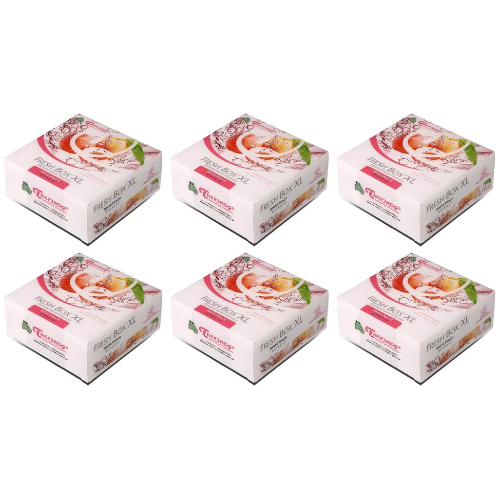 Set of 6 Treefrog 400g Charcoal Air Fresheners for Fresh Box (XL)