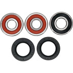 Pivot Works Wheel Bearing for