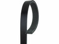 Multi Rib Belt for Mazda 626 (1986–1997) P695ZD