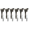 Set of 6 Ignition Coils & NGK Iridium Spark Plugs for A6 Q7 Cayenne Panamera (2005–2020)
