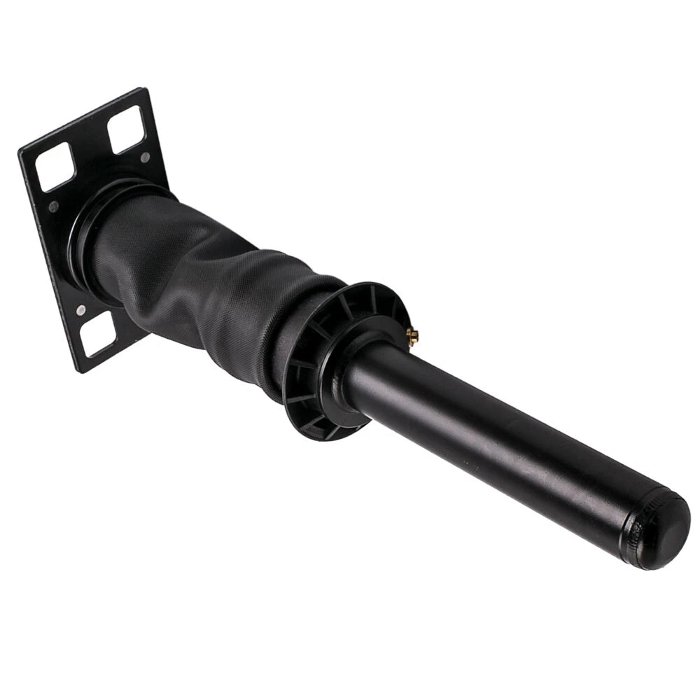 Air Suspension Strut for International Prostar (2009) 3595977C95 3595977C96 66127